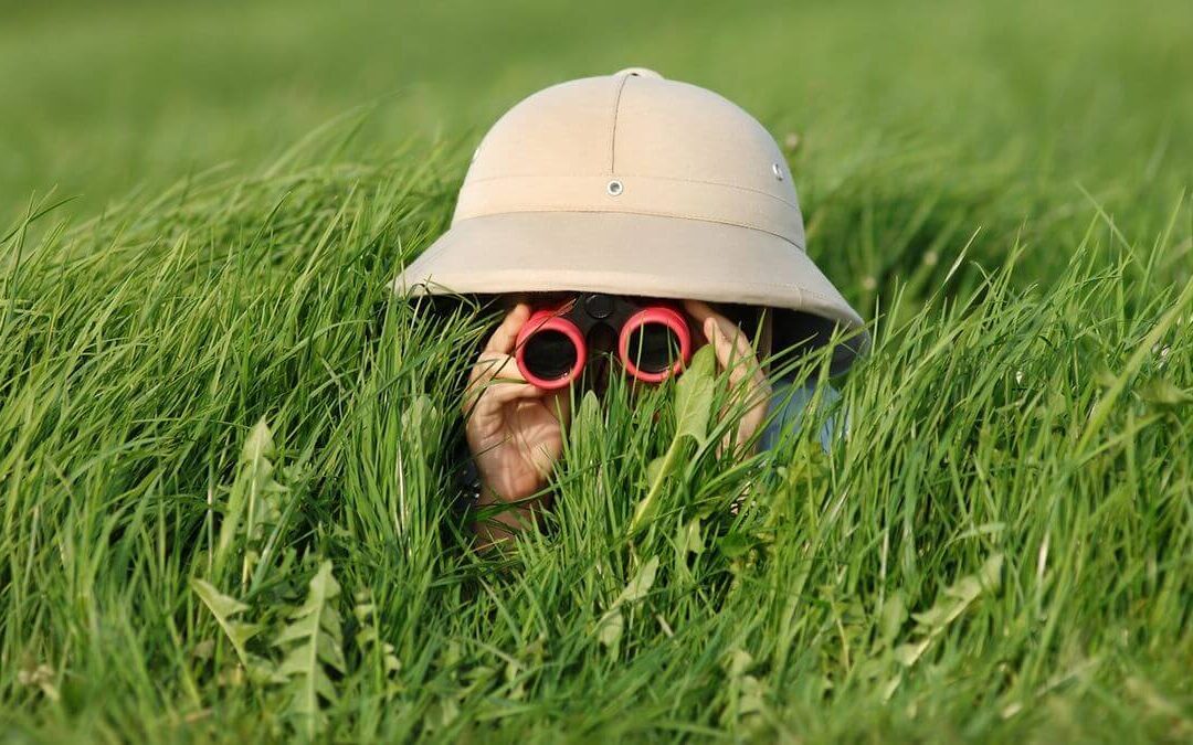 Hilfe, meine Seite wird nicht gefunden!